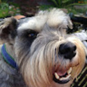 Meet your Posher, Umar